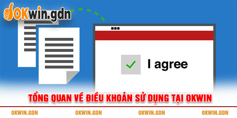 Tổng quan về điều khoản sử dụng tại OKWIN